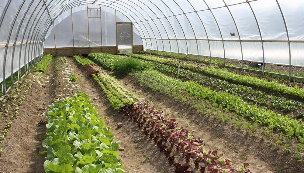 WhatsApp Image 2021-09-15 at 15.31.20