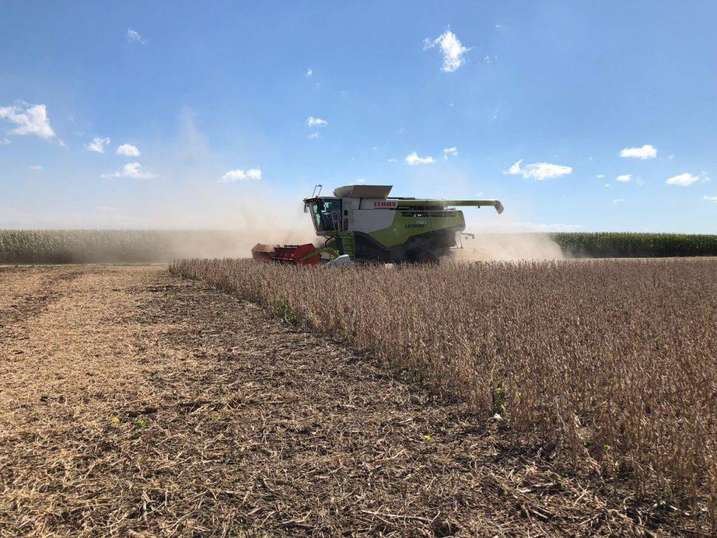 WhatsApp Image 2021-03-10 at 22.11.59