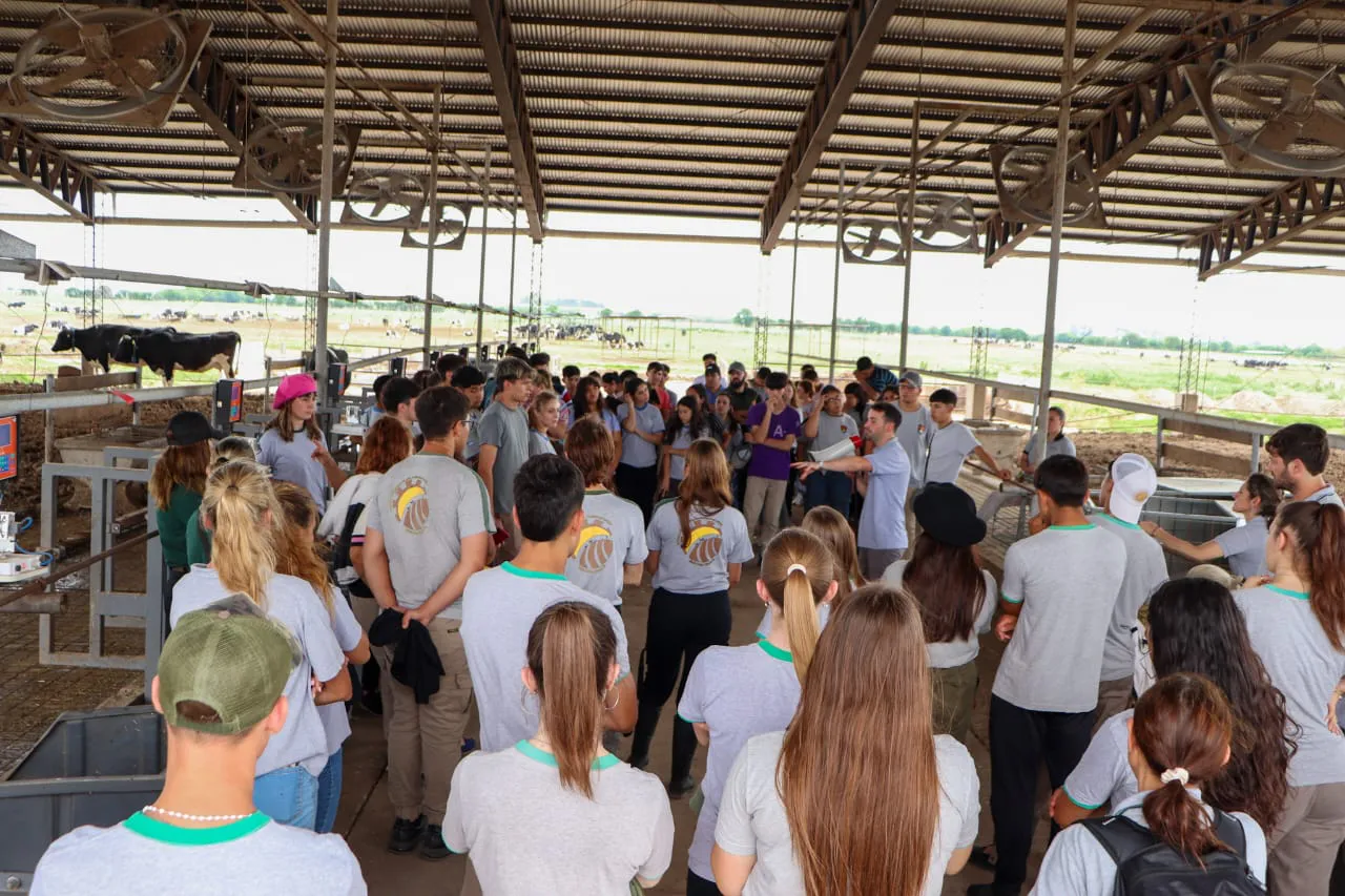 WhatsApp Image 2024-10-23 at 12.30.07