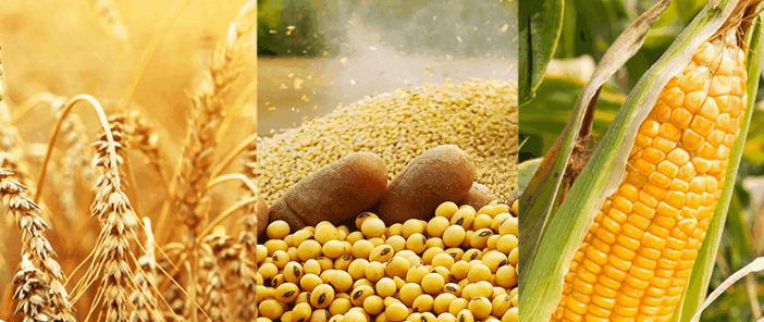 WhatsApp Image 2021-04-21 at 16.36.54