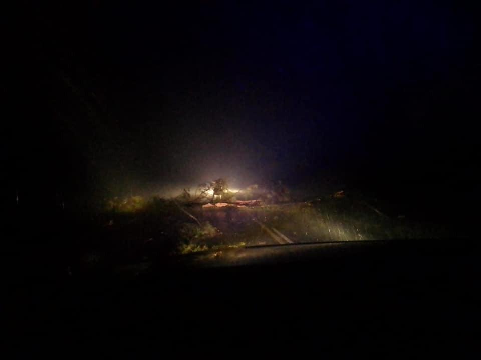 ramas ruta- temporal