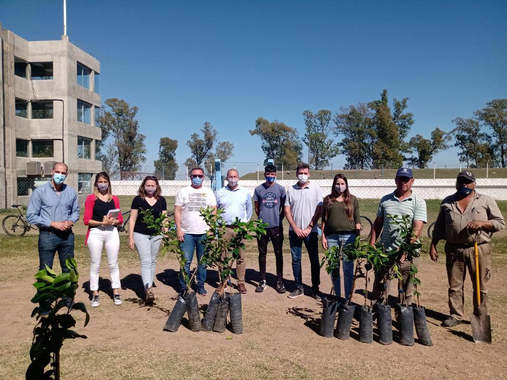 reforestación autódromo