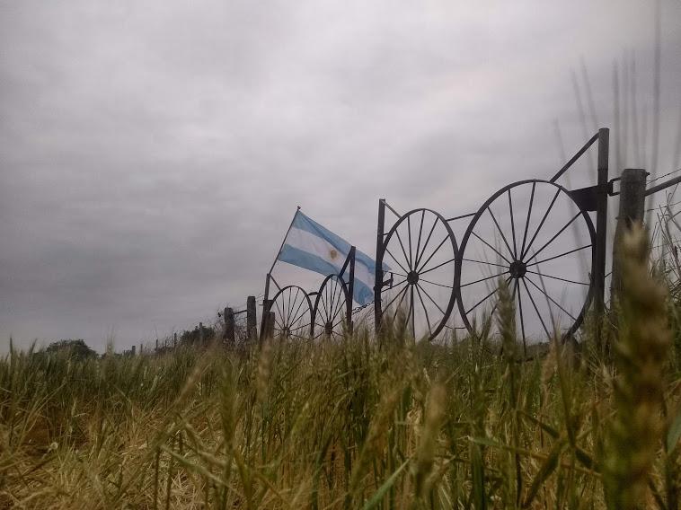 Concurso fotográfico - Campo - Argentina -