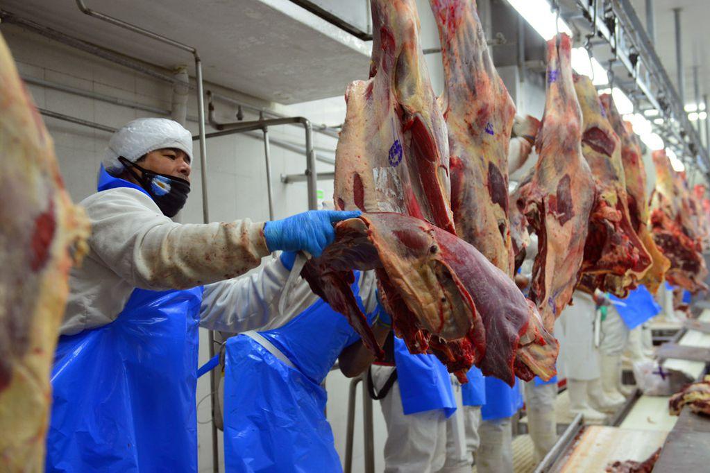 Carne - Frigorífico -