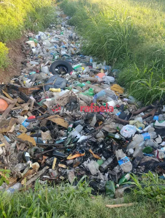 WhatsApp Image 2024-11-18 at 20.46.19