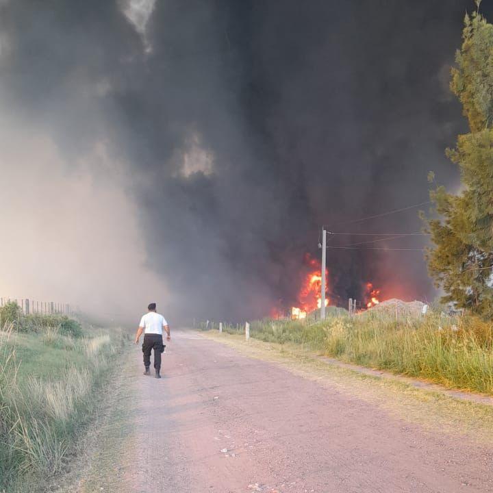 incendio perrera