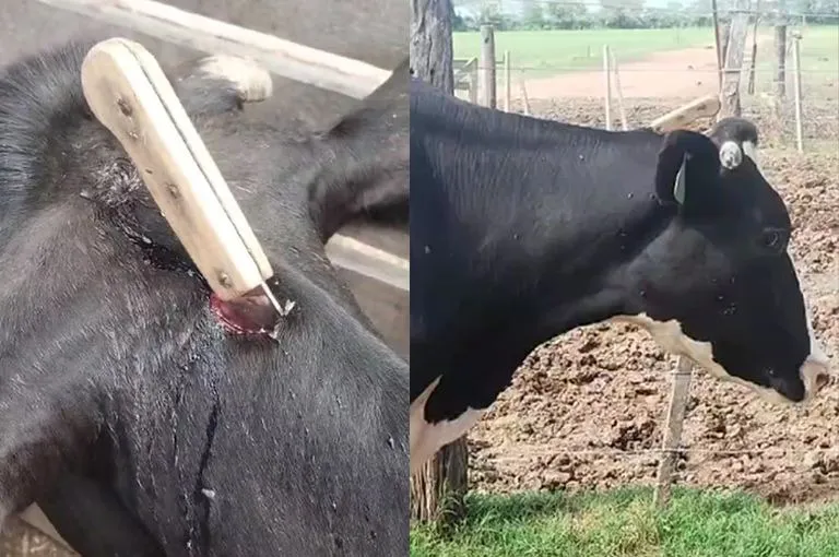 WhatsApp Image 2025-02-18 at 17.37.49