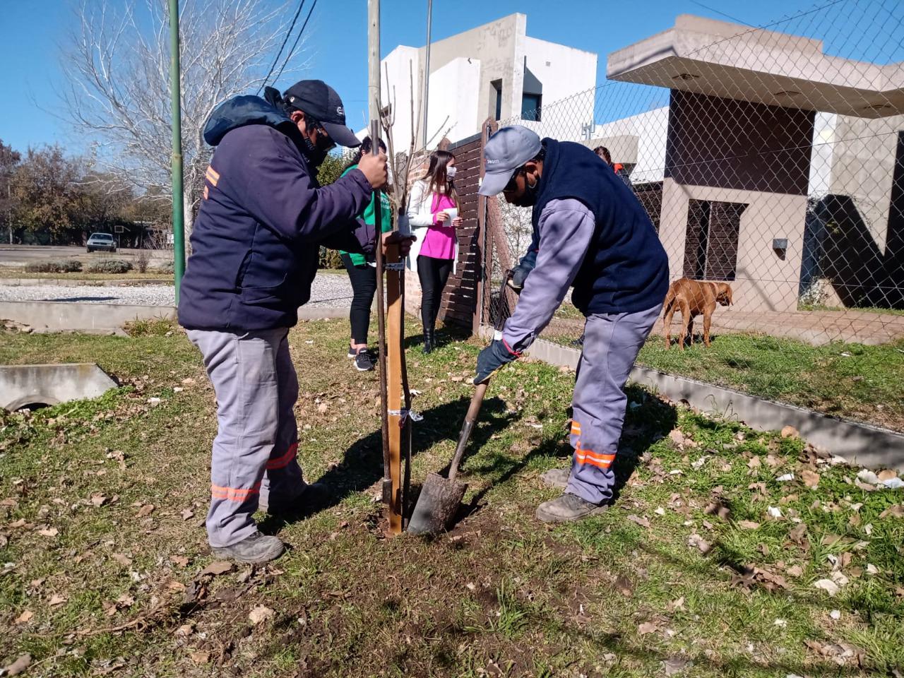 WhatsApp Image 2021-07-19 at 18.26.38