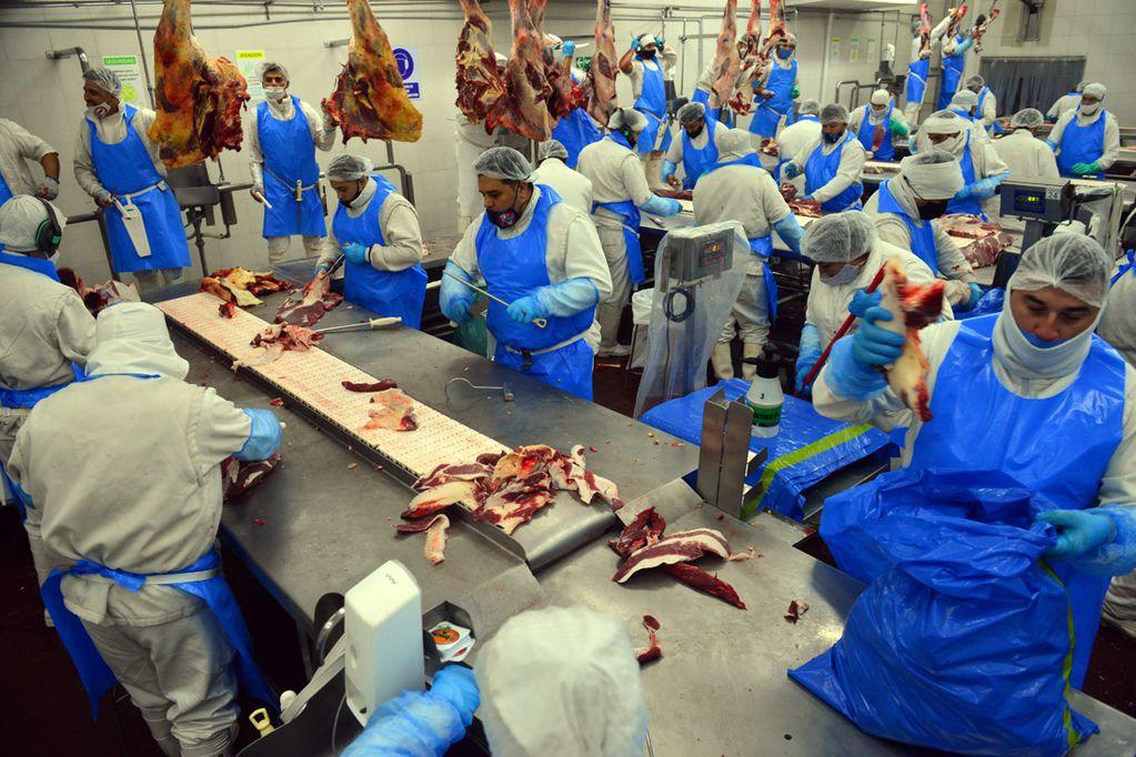 El Consejo Agroindustrial y los frigoríficos advierten por el impacto en el empleo -