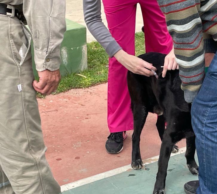 WhatsApp Image 2021-10-04 at 09.51.39