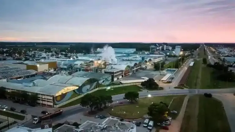 WhatsApp Image 2026-01-29 at 12.00.05