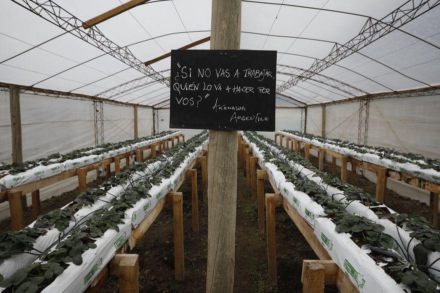 Q2HI6P4MZZFFXLRHA2EECHU7LI