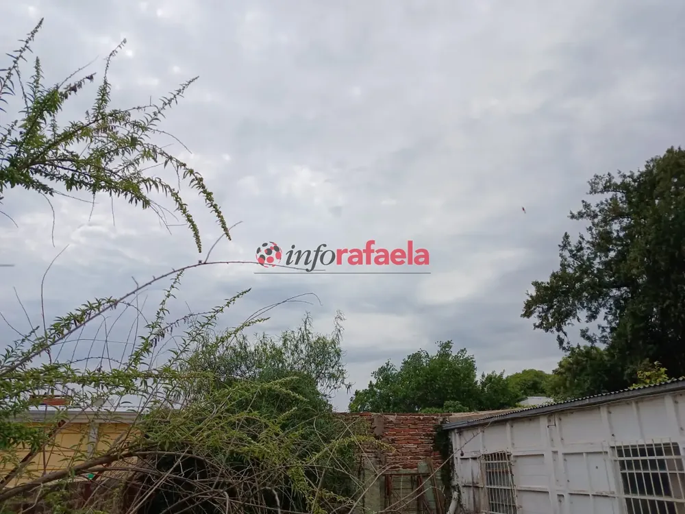 WhatsApp Image 2024-11-24 at 10.50.37