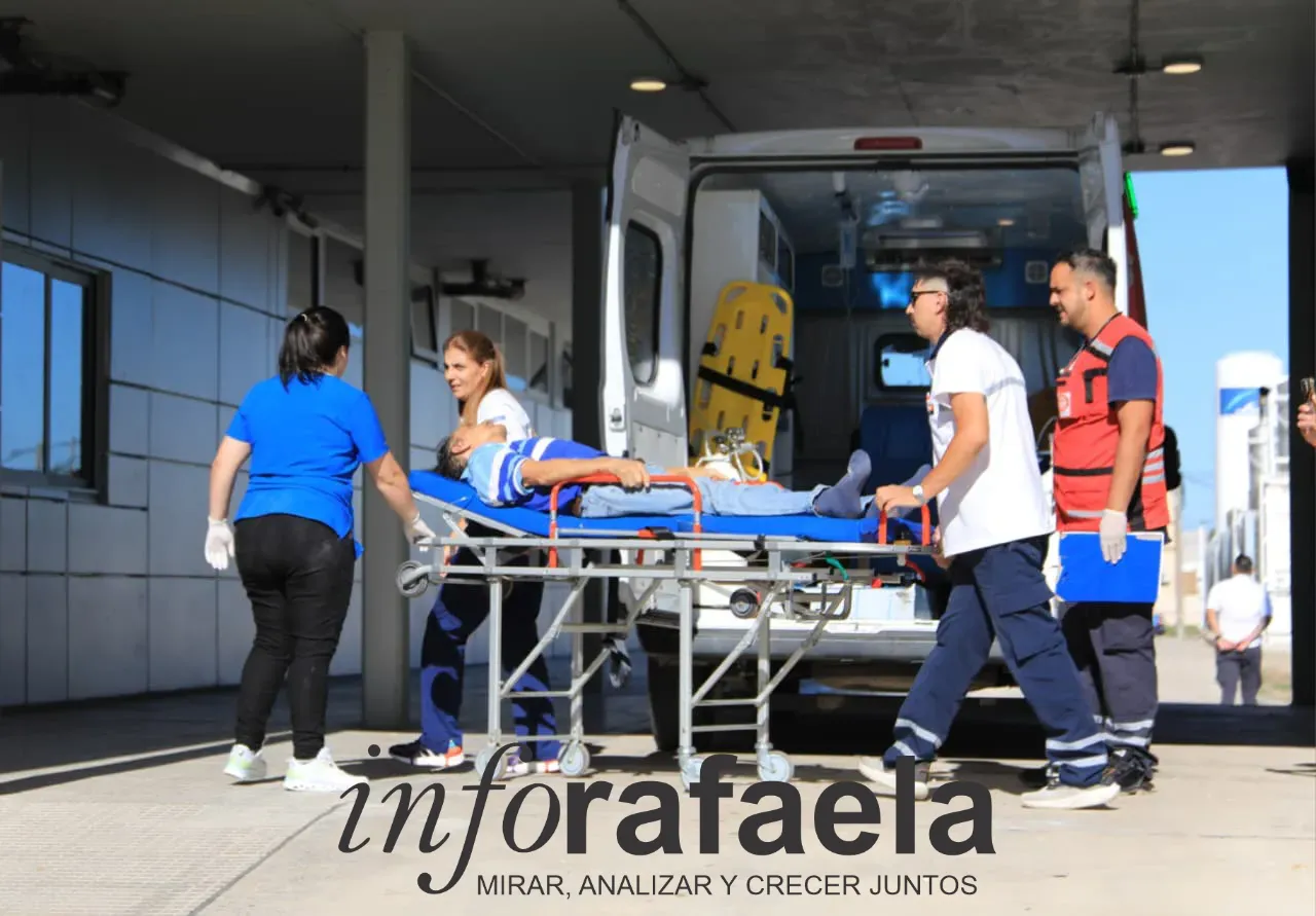 WhatsApp Image 2025-12-13 at 08.50