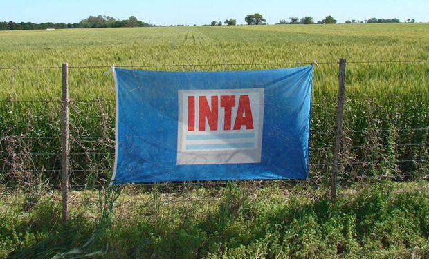 inta