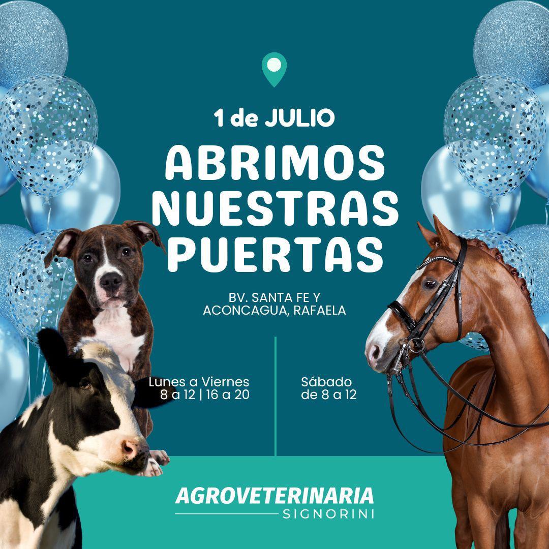 WhatsApp Image 2024-06-30 at 19.15.11