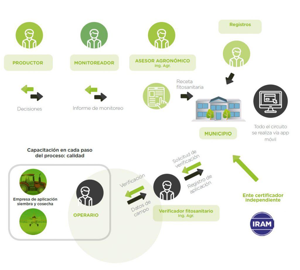 municipio-verde-1024x922