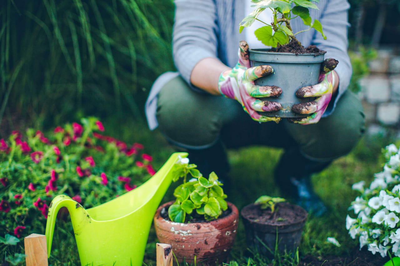 jardinería empleo verde