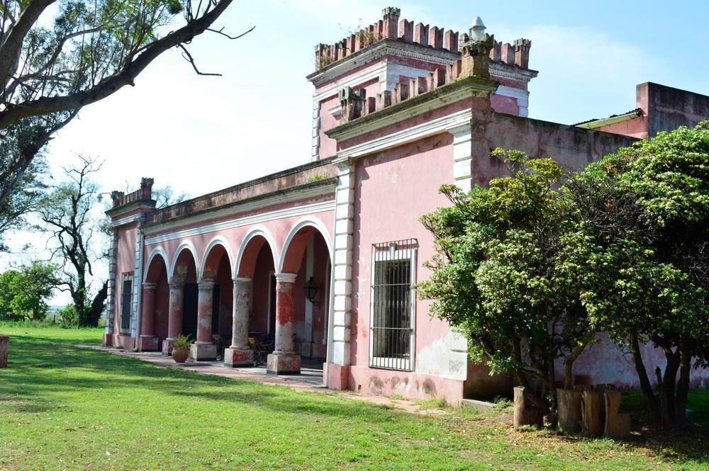 sacada de face