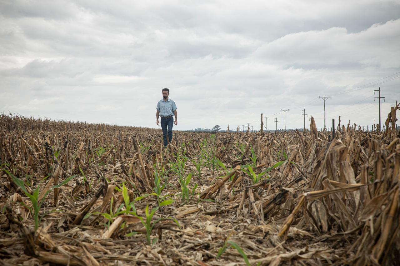 Con el inicio de septiembre comienza también a pleno la nueva campaña gruesa, con el maíz como el primer cultivo en implantarse. Este año, todos los relevamientos destacan que habrá un nuevo crecimiento del área sembrada, en un contexto en el que la aplicación de tecnología será clave para definir los planteos agrícolas que obtendrán las mejores productividades por hectárea y serán más sustentables.