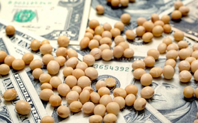 DOLAR-AGRO-ok-650x404-1