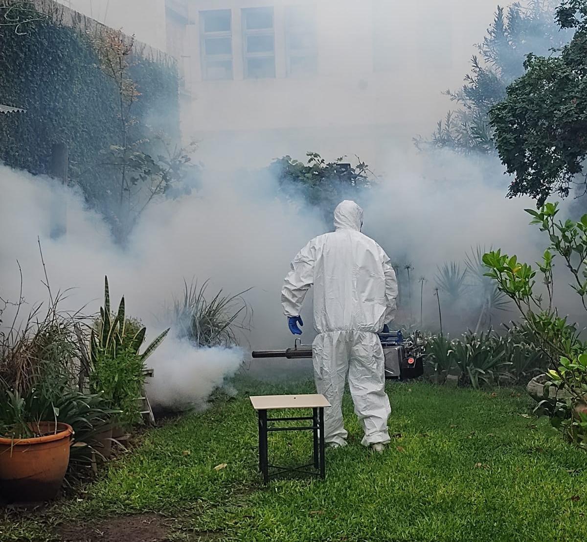 dengue fumigación