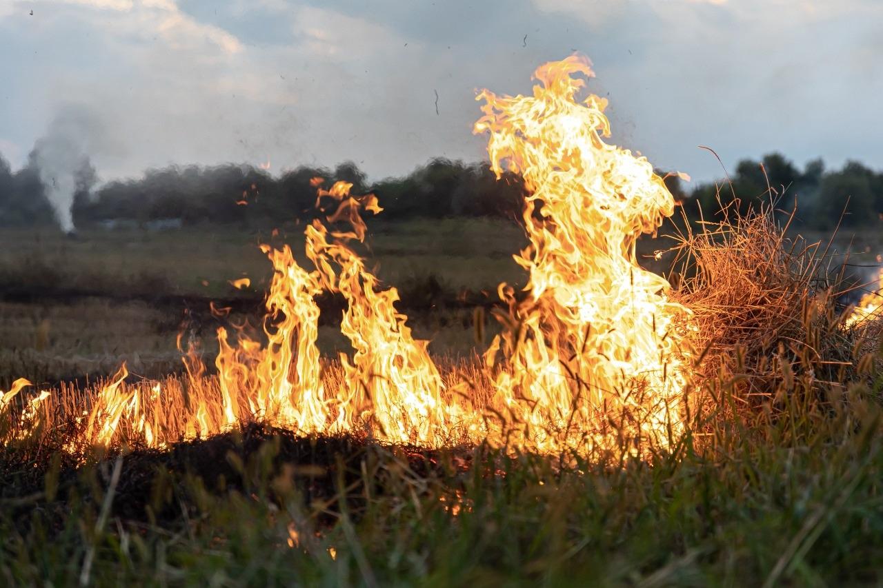 incendio