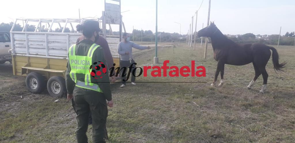 Hechos policiales en el territorio provincial