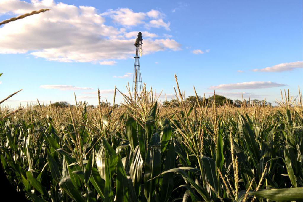Nace una nueva movida para unir al campo con el resto de la sociedad