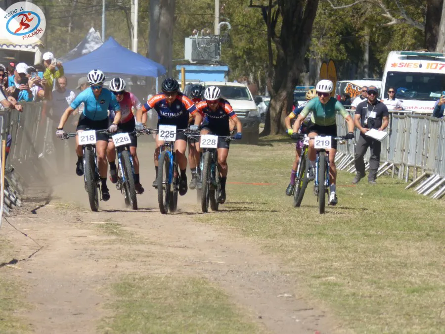 bicis