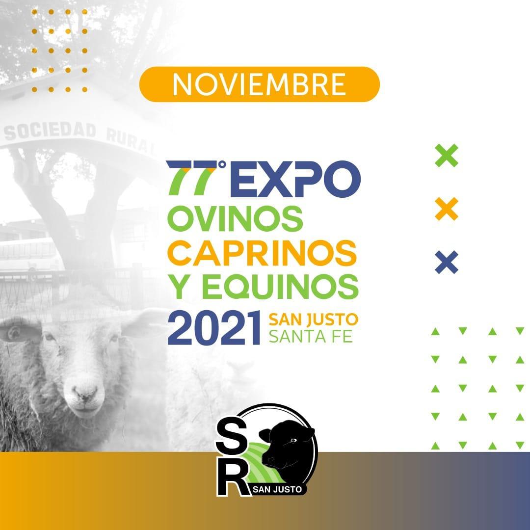 expo sj