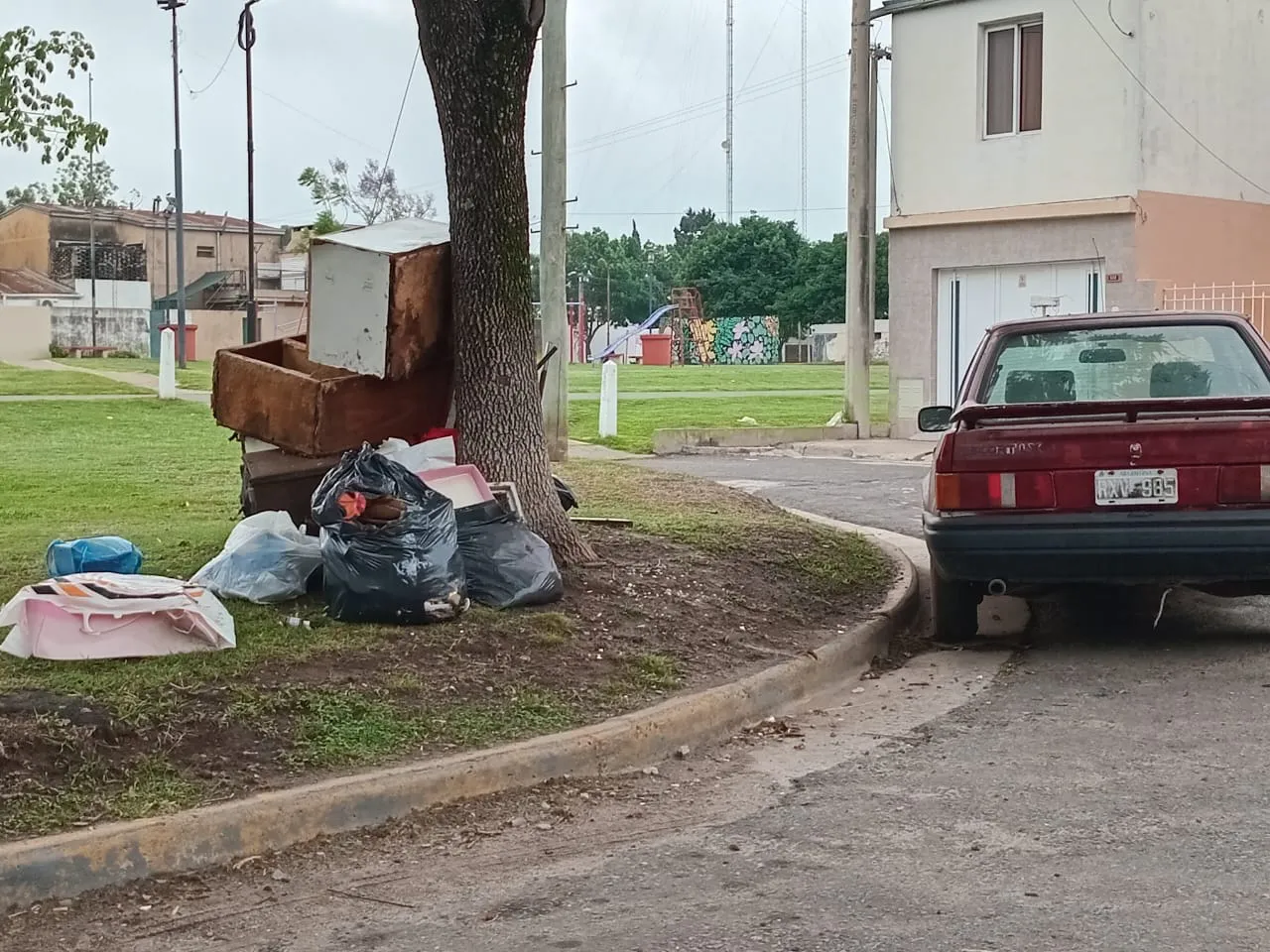 WhatsApp Image 2024-11-05 at 08.12.59