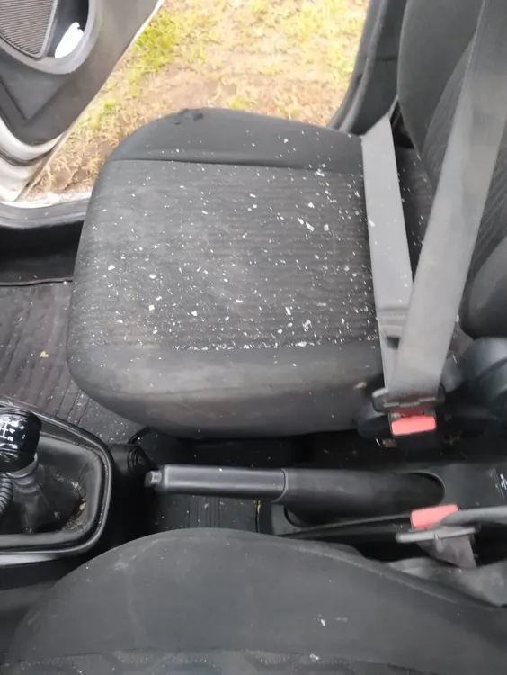 WhatsApp Image 2025-04-06 at 20.20.30 (1)