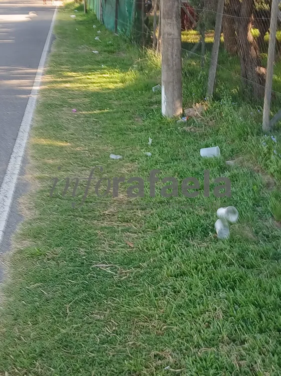 WhatsApp Image 2024-12-28 at 18.31.37