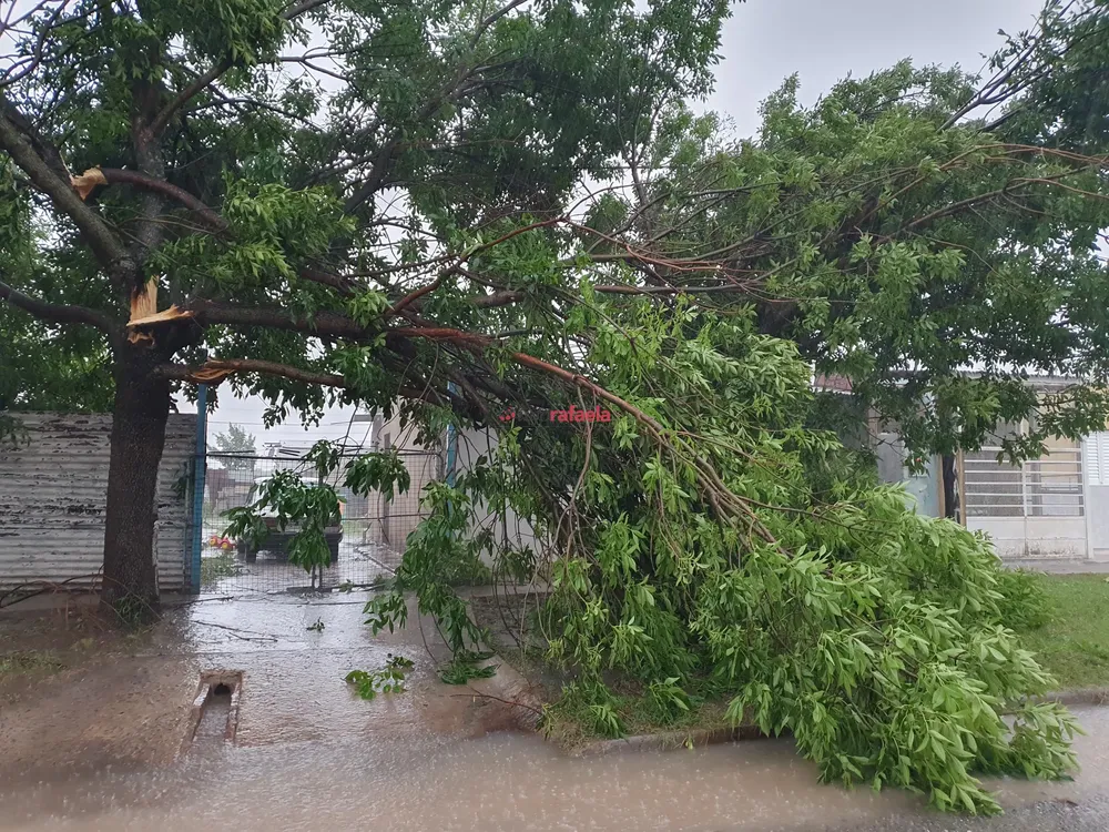 WhatsApp Image 2024-11-25 at 07.15.13