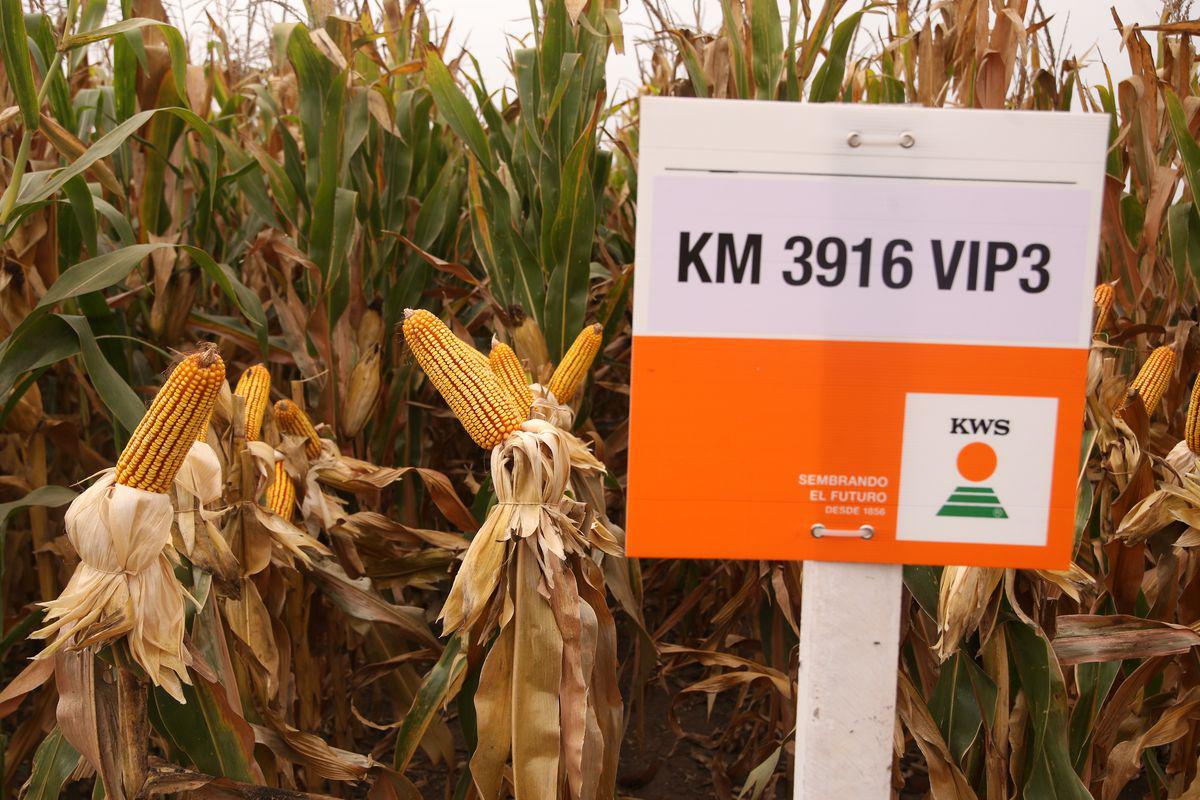 c846fb04-f61c-461f-8a77-195d3d394d60