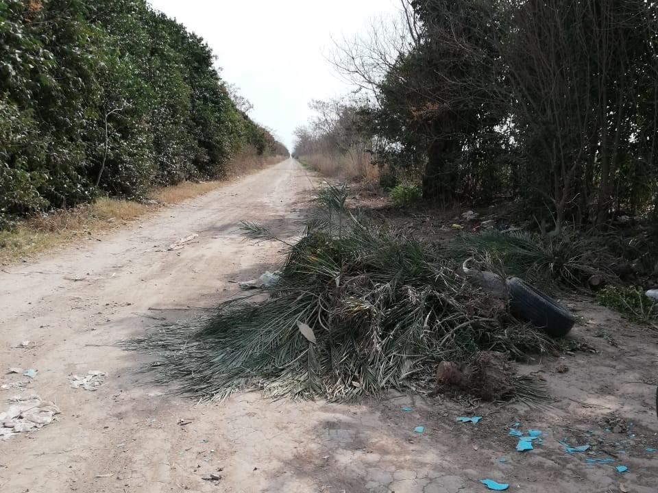 WhatsApp Image 2021-08-30 at 13.08.44