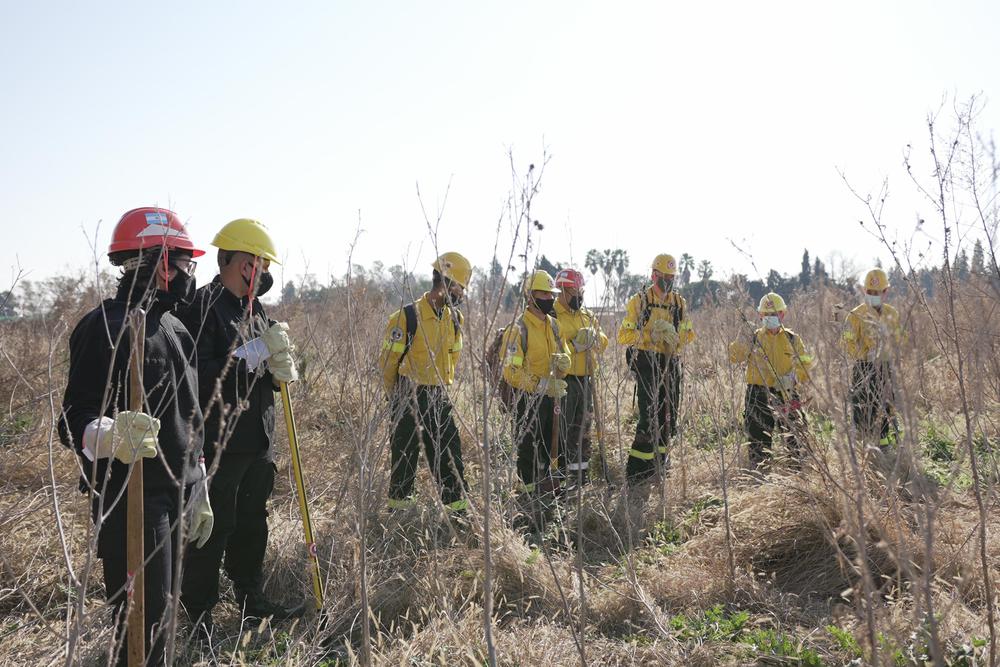 2021-07-08NID_271540O_2