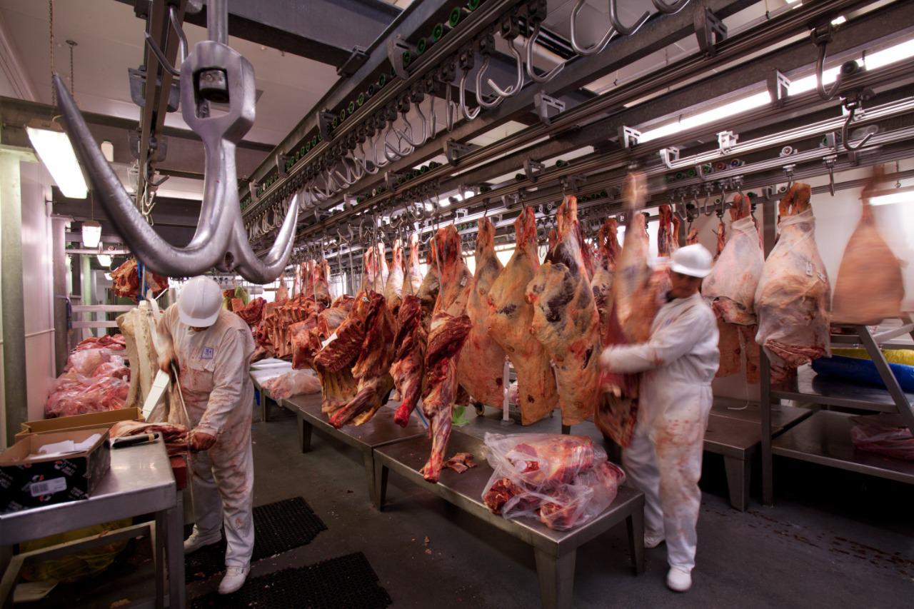 carne-exportaciones