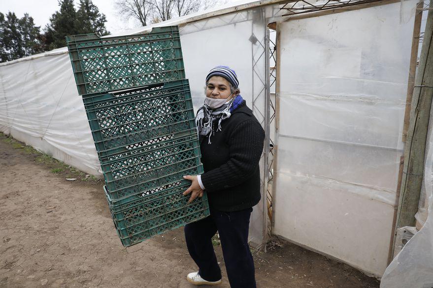 BXVDML3SINCCDLY7LXRZPT6BJE