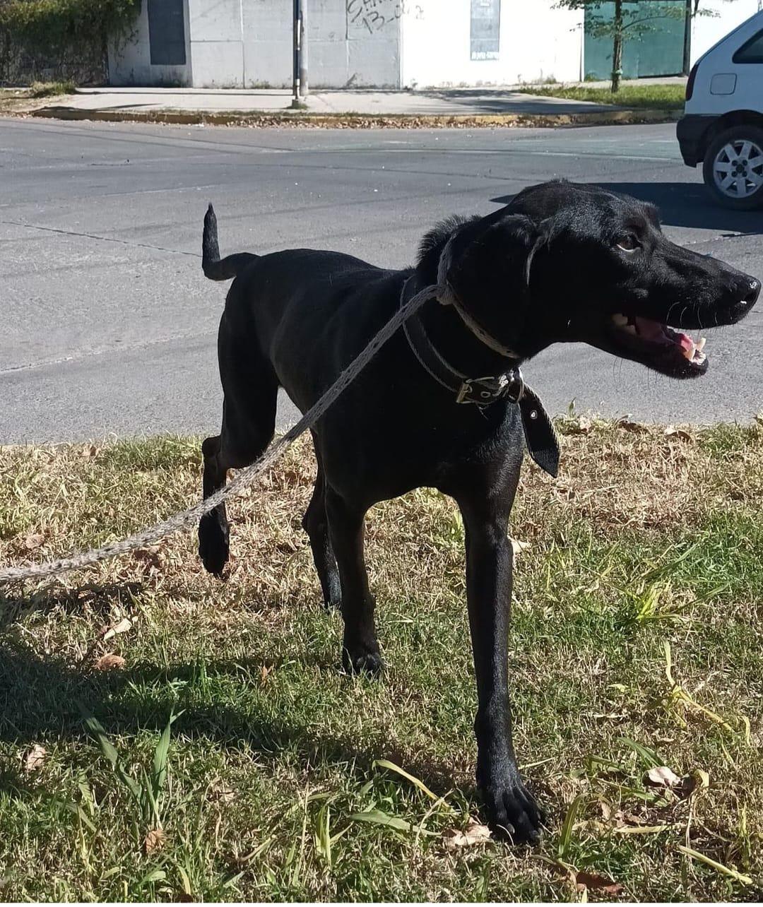 WhatsApp Image 2024-07-04 at 18.01.59