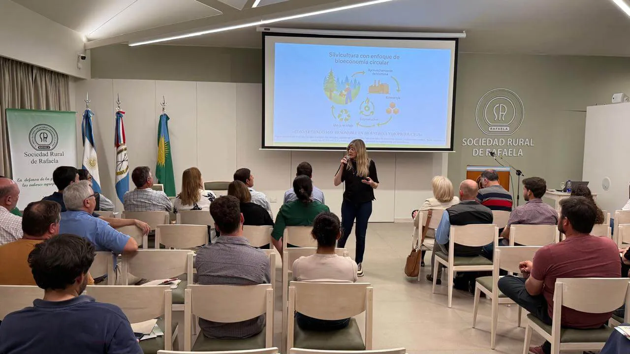 Imagen-de-WhatsApp-2025-11-05-a-las-20.33.36_06535543