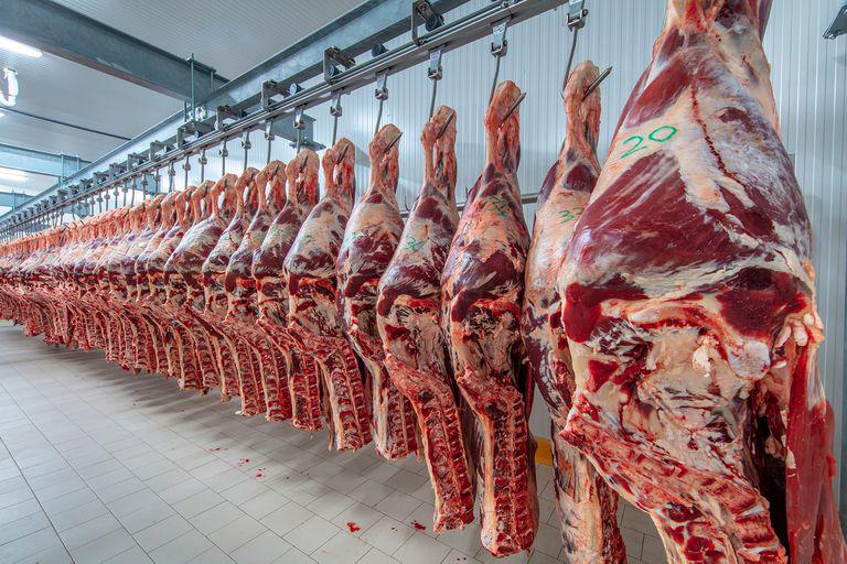 carne