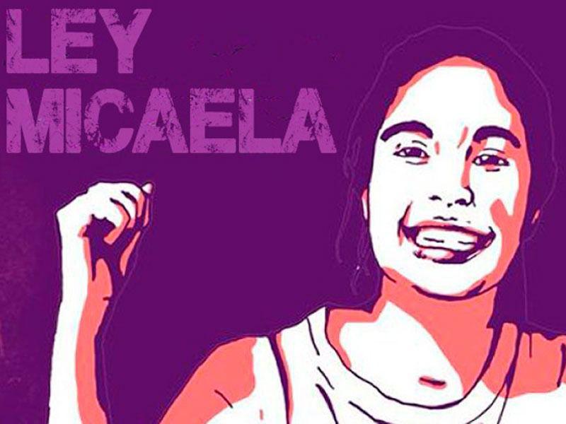 Ley Micaela