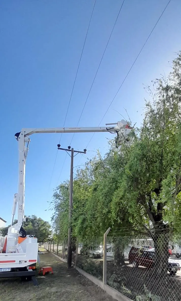 WhatsApp Image 2024-10-15 at 08.30.54