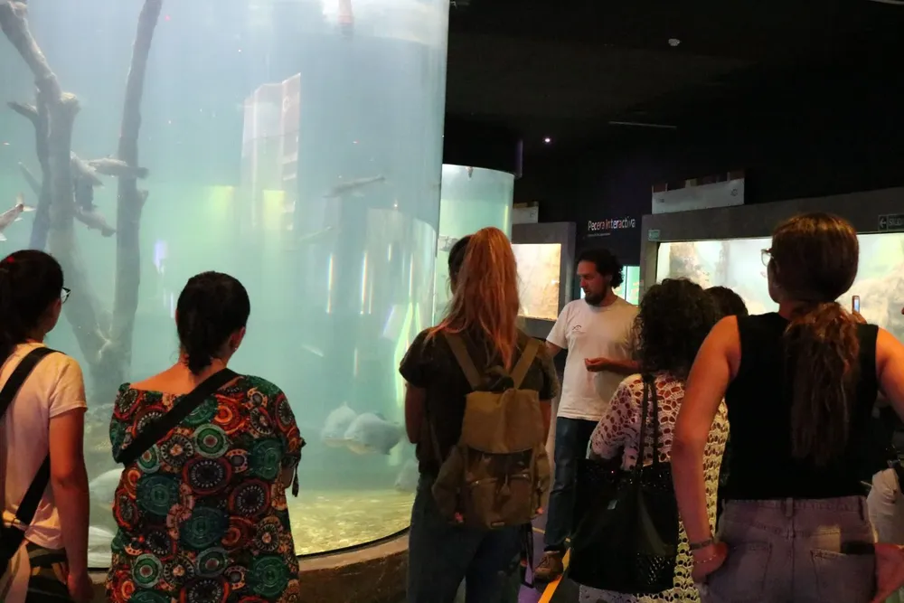 2026-02-16NID_285207O_1