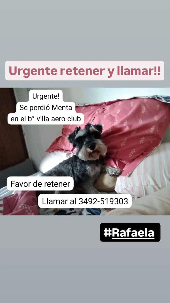 WhatsApp Image 2024-11-06 at 12.41.49