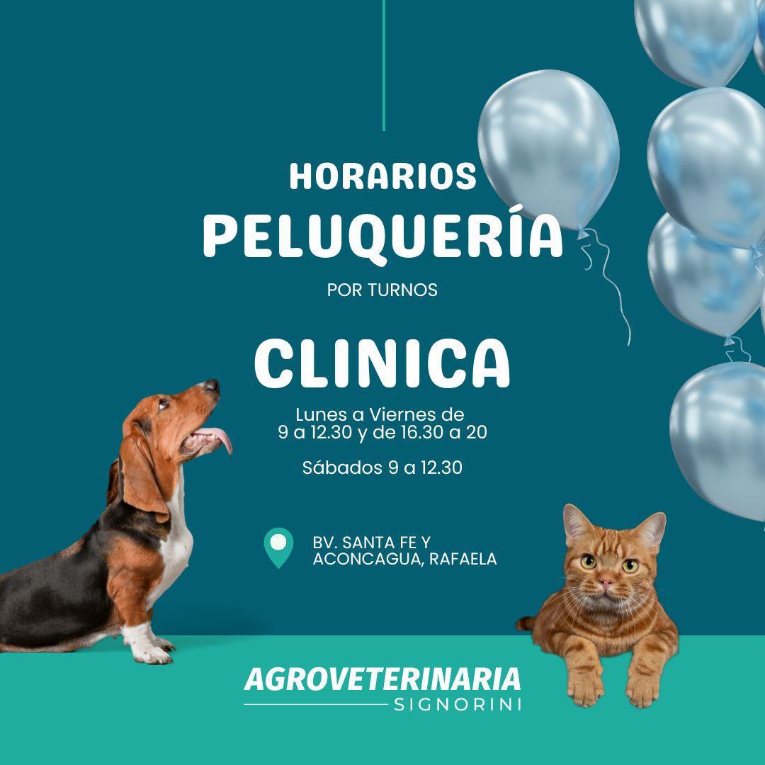 WhatsApp Image 2024-06-30 at 19.15.11 (1)