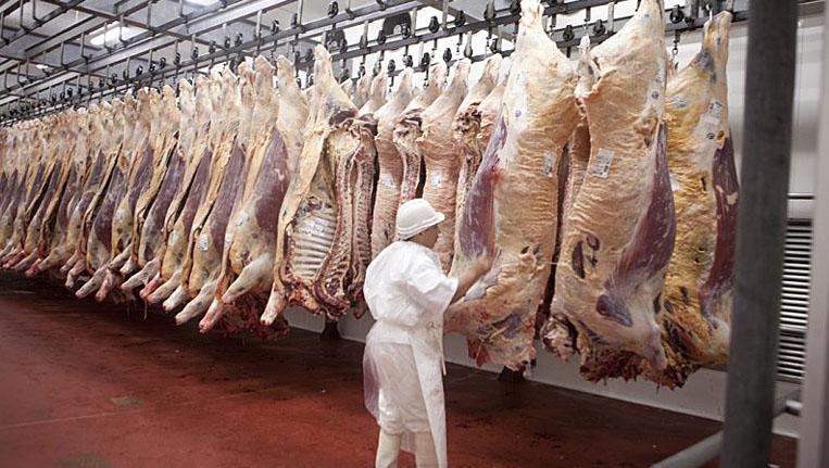 carne-exportaciones