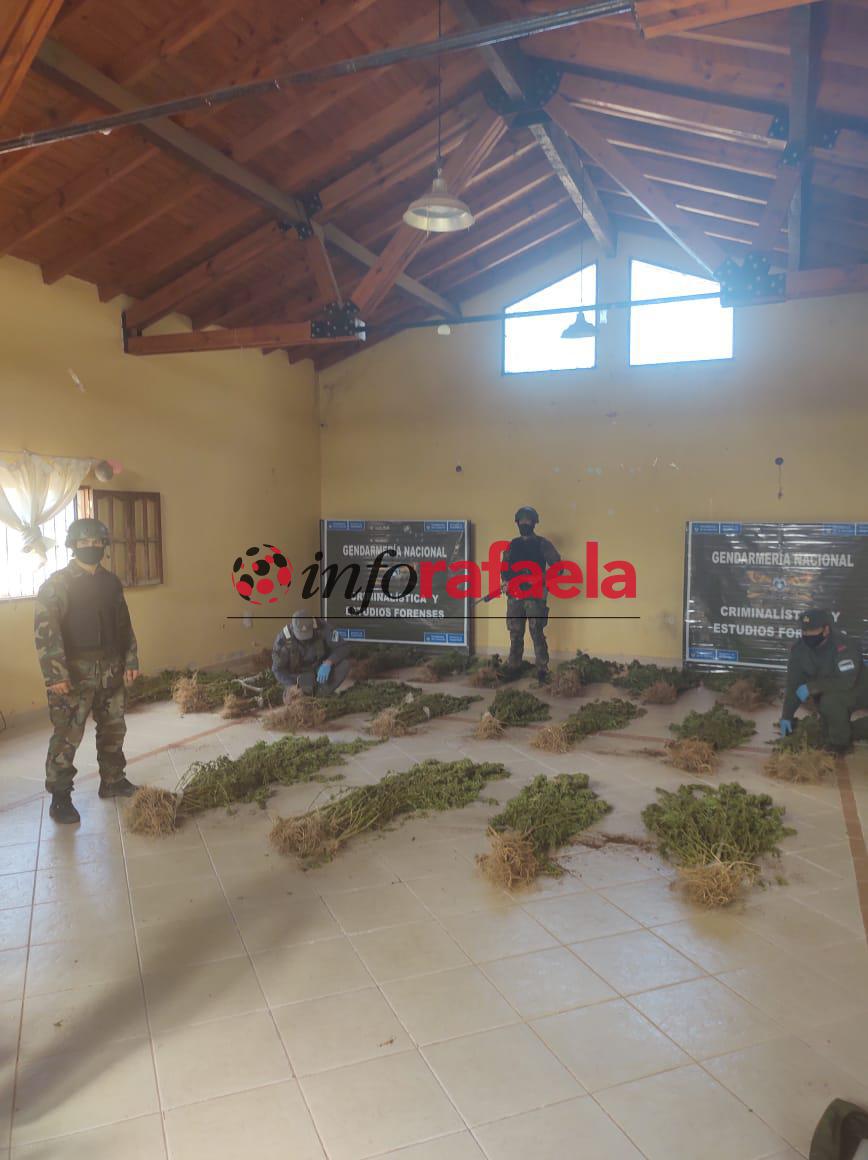 WhatsApp Image 2021-04-28 at 16.49.37